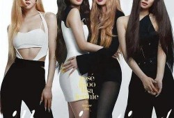 hs女团最新爆料网站,最新爆料网站大起底