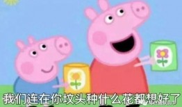 王者佩奇爆料最新消息,神秘新英雄即将登场，游戏格局将迎巨变！