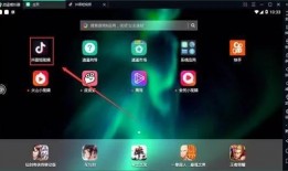 抖音爆料小丑视频大全最新,揭秘小丑视频大全，笑料百出，欢乐无限！