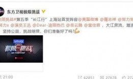 挑战最新爆料,揭秘幕后真相，带你走进事件核心