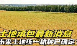 大地最新爆料,最新爆料背后的惊人真相