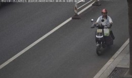 福州电动车爆料事件最新,揭秘背后惊人真相，安全隐患引关注