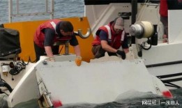 英媒最新爆料mh370,英媒最新爆料揭示惊人真相