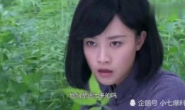 小七最新爆料消息,揭秘娱乐圈最新动态，明星幕后故事大公开！