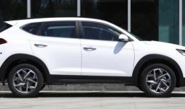 哈佛最新爆料消息视频,最新爆料视频深度解析