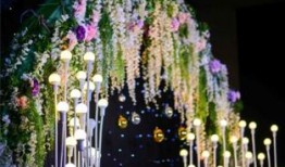 重庆婚礼爆料视频最新,传统与现代交融的浪漫瞬间