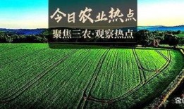 大地最新爆料,最新爆料背后的惊人真相