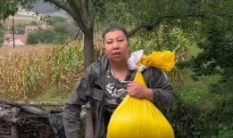 雨姐最新爆料,娱乐圈幕后真相大曝光！