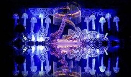 重庆婚礼爆料视频最新,传统与现代交融的浪漫瞬间