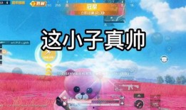 逃跑老皮最新爆料微博,揭秘娱乐圈最新动态