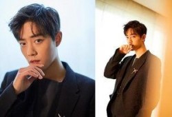 圈内爆料杨紫肖战最新,神秘新剧引期待