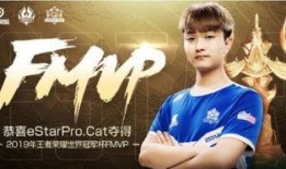 cat最新爆料fmvp,揭秘最新FMVP神秘面纱
