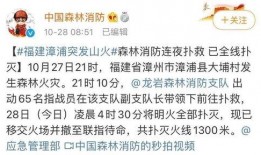 福建大事件爆料最新消息,揭秘重大进展与幕后真相