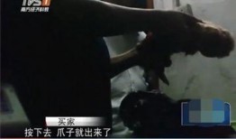 屠宰最新爆料视频大全,屠宰行业内幕大揭秘！