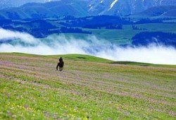 新疆景区爆料事件最新,揭秘背后真相与游客权益保护挑战