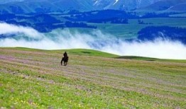 新疆景区爆料事件最新,揭秘背后真相与游客权益保护挑战